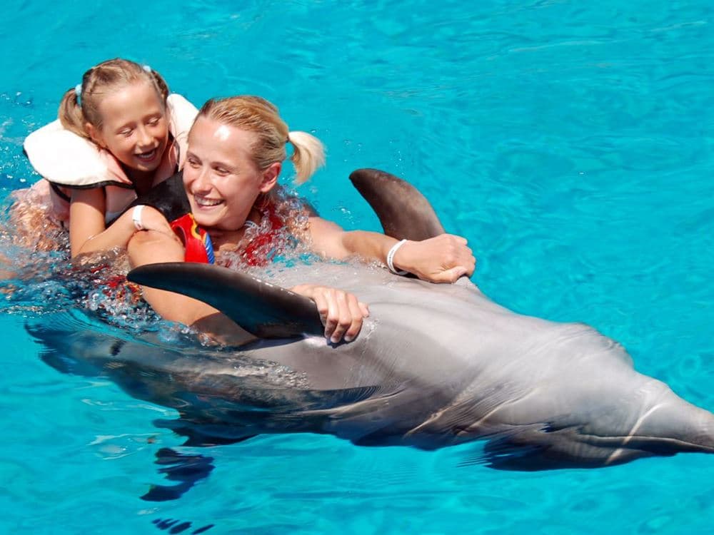 Antalya Swim With Dolphins