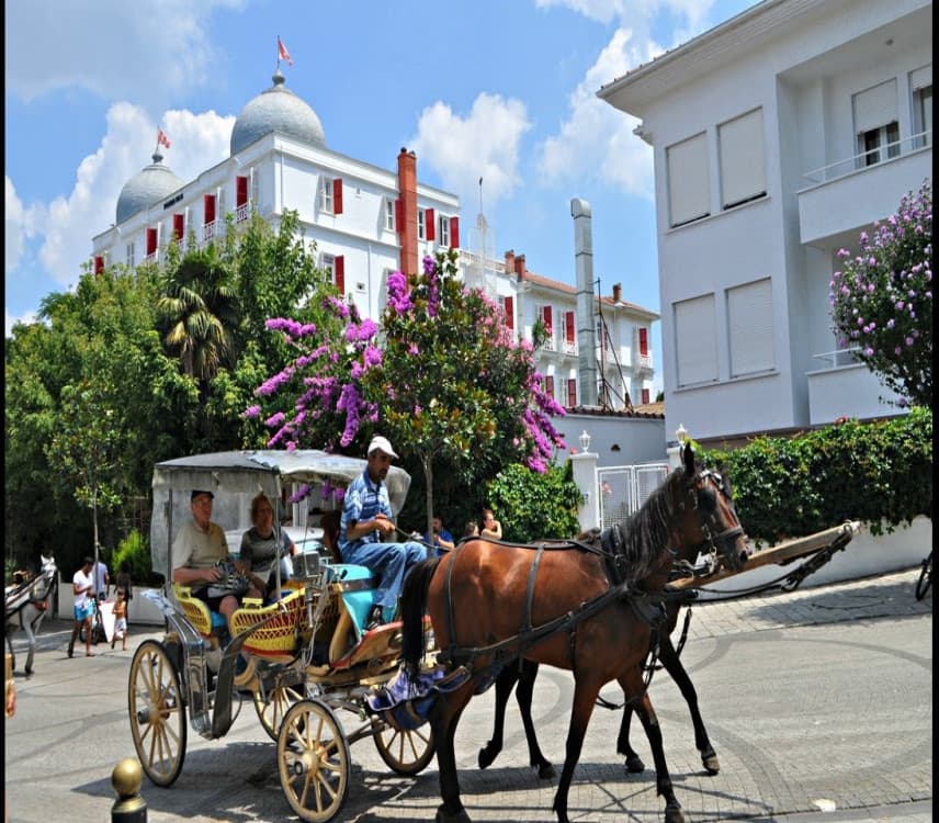 Istanbul Princess Island Tour