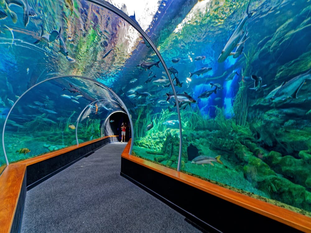 Poema del Mar Aquarium