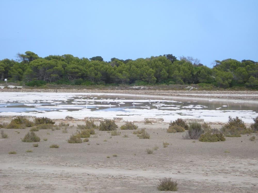 Ses Selines Natural Park