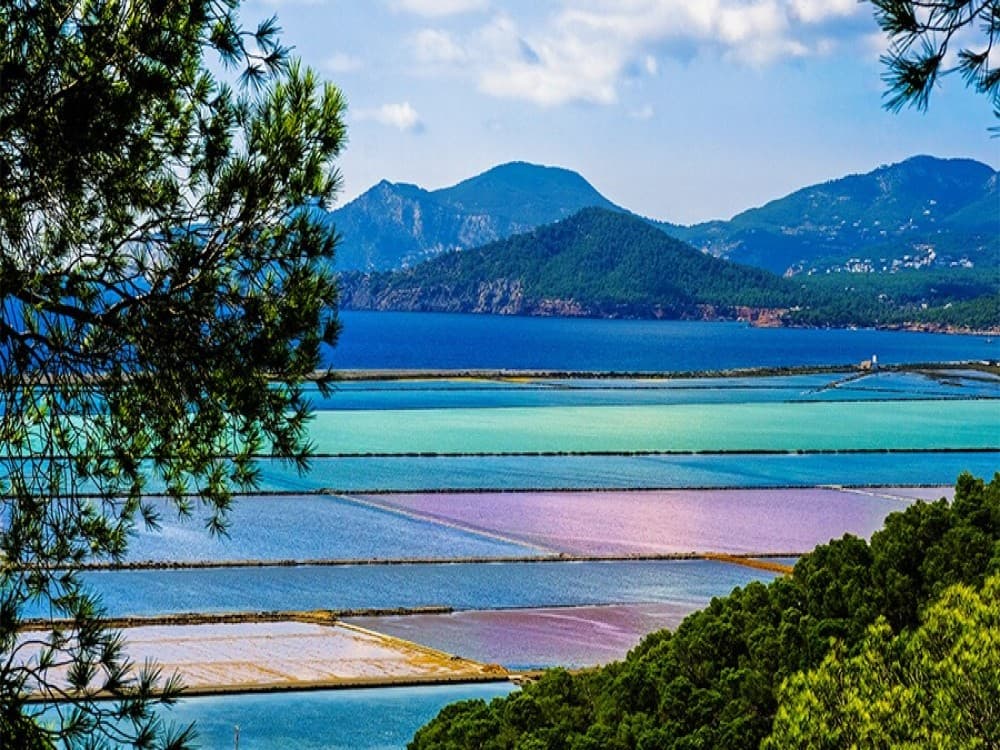 Ses Selines Natural Park