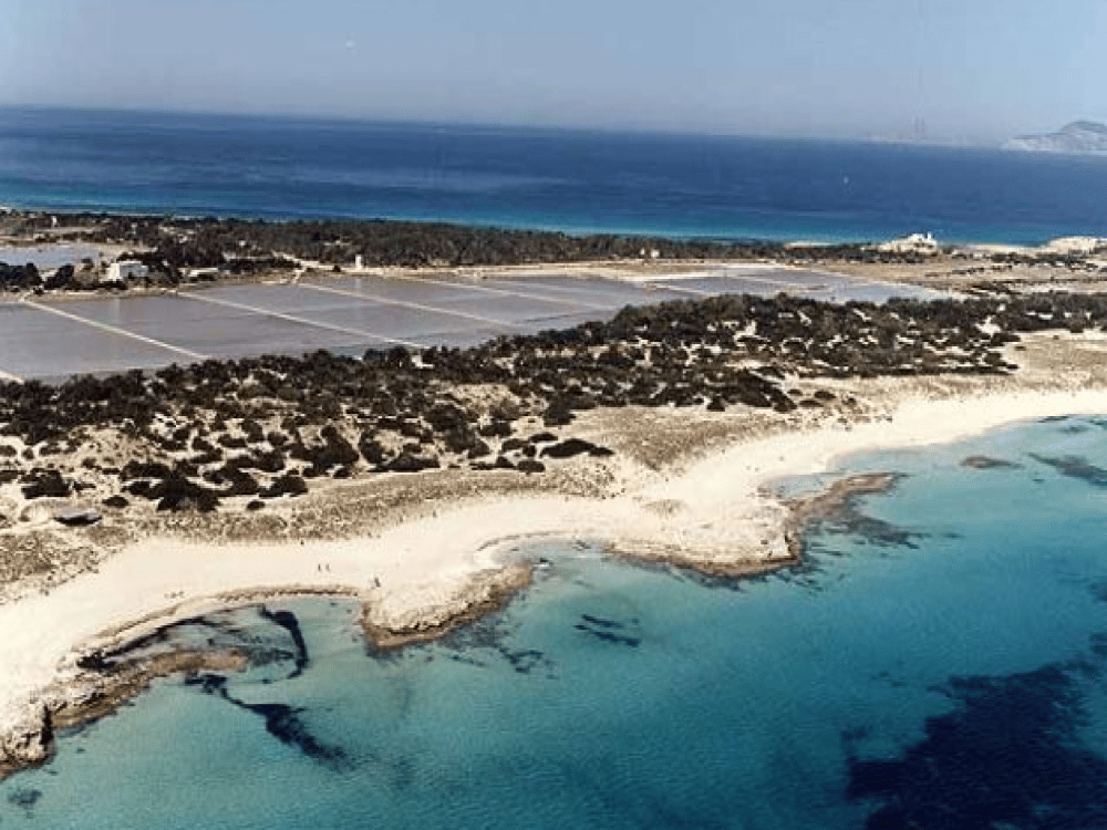 Ses Selines Natural Park