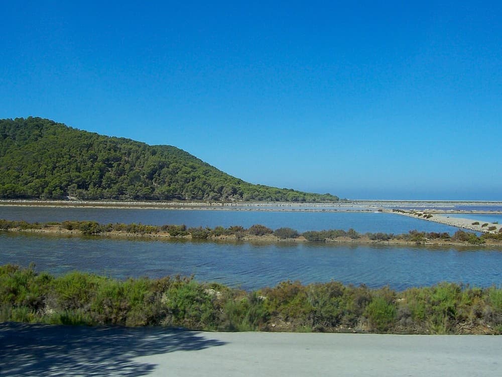 Ibiza: Ses Selines Natural Park | ®ExcursionMania