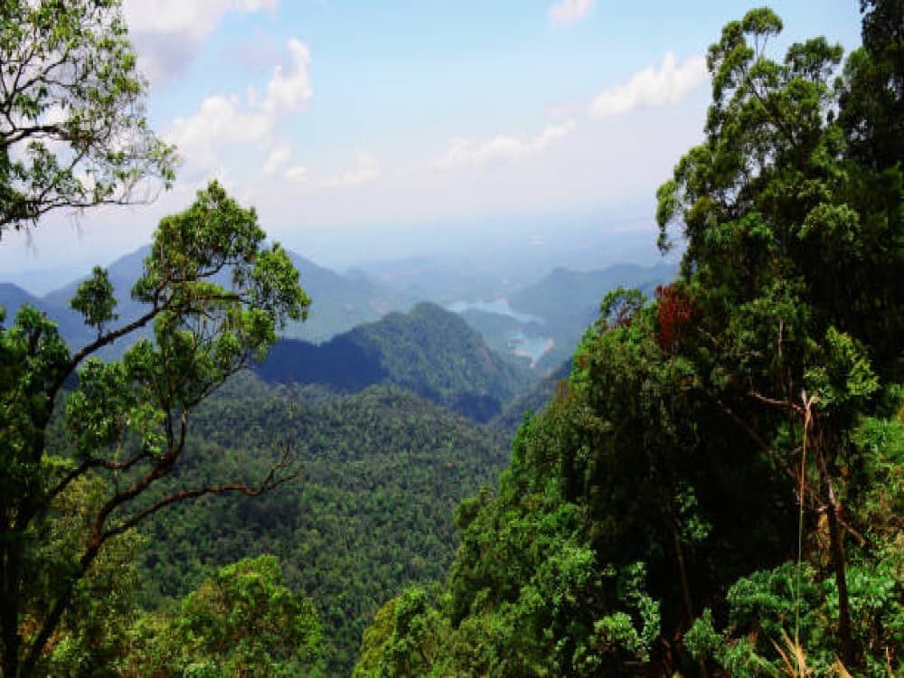 Bach Ma National Park (Vuon Quoc gia Bach Ma)