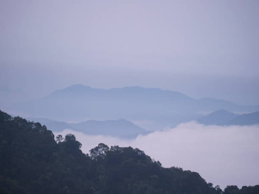 Bach Ma National Park (Vuon Quoc gia Bach Ma)