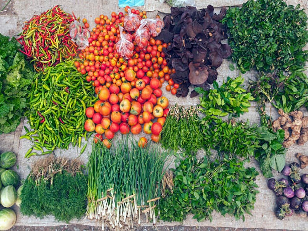 Tra Que Vegetable Village