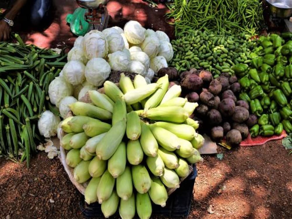 Tra Que Vegetable Village