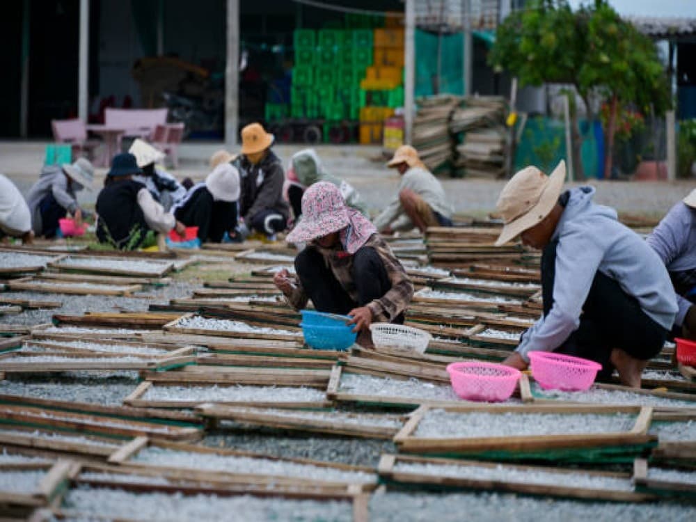 Kim Bong (Carpentry Village)