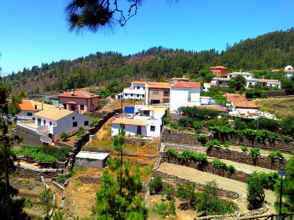 Tenerife: Vilaflor | ®ExcursionMania