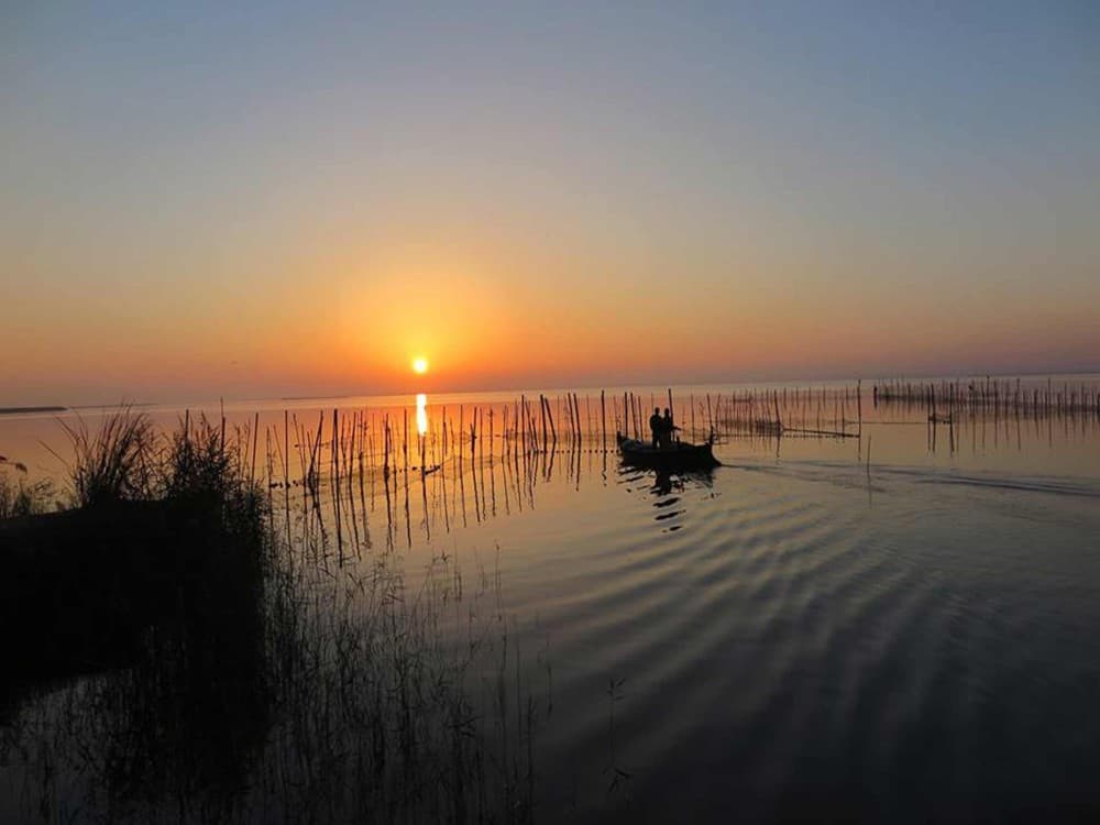 Albufera Natural Park 