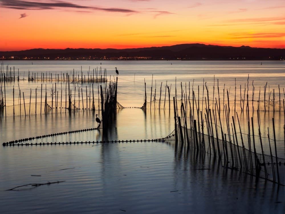 Albufera Natural Park 