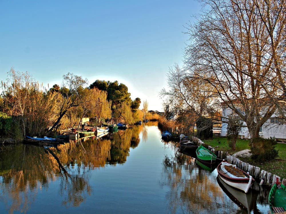 Albufera Natural Park 