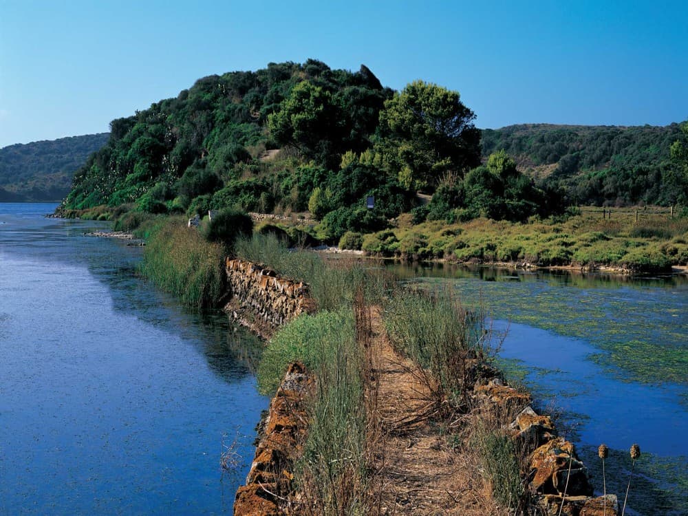 Albufera Natural Park 