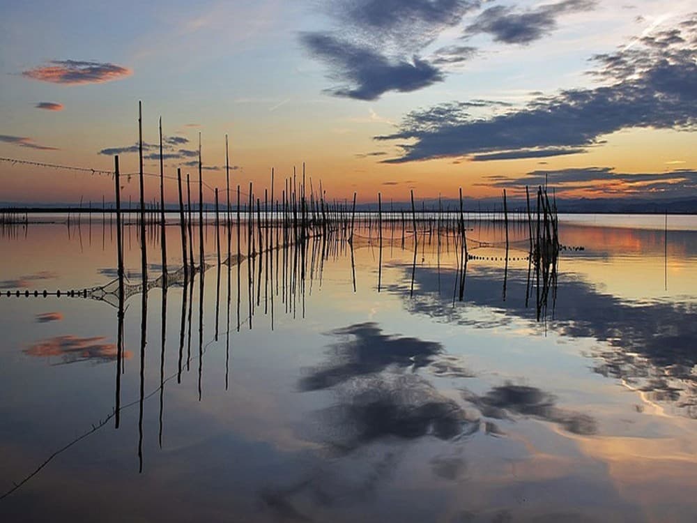 Albufera Natural Park 