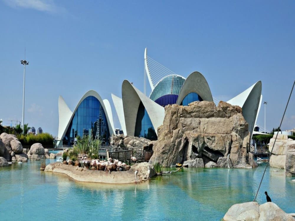 Valencia Oceanografic