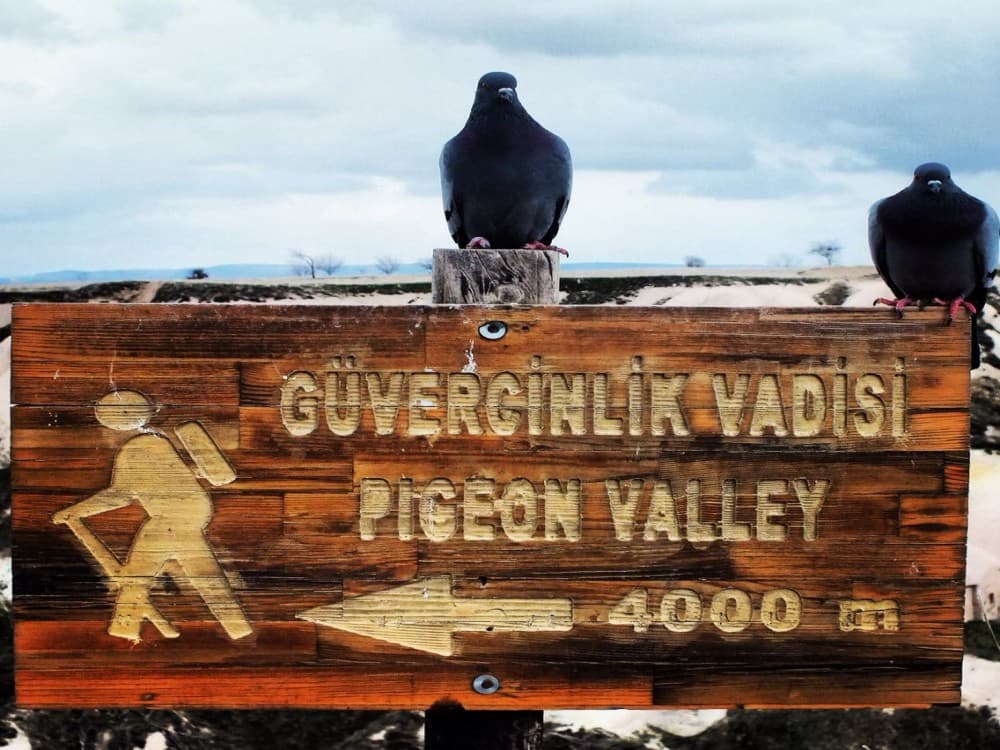 Pigeon Valley