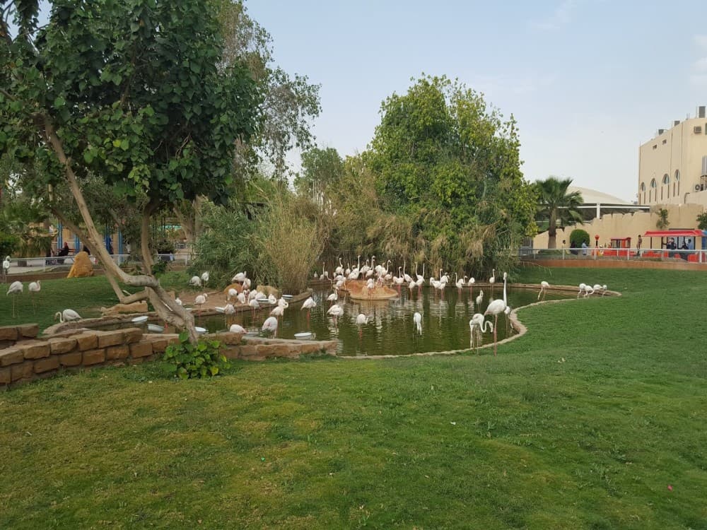 Riyadh Zoo