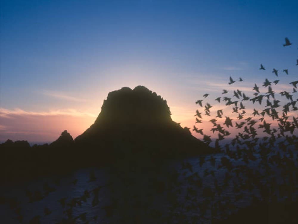 Es Vedranell and Western Inlets