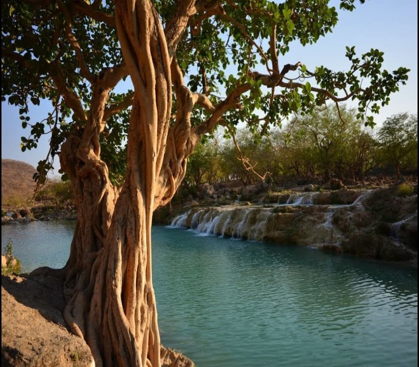 Wadi Darbat