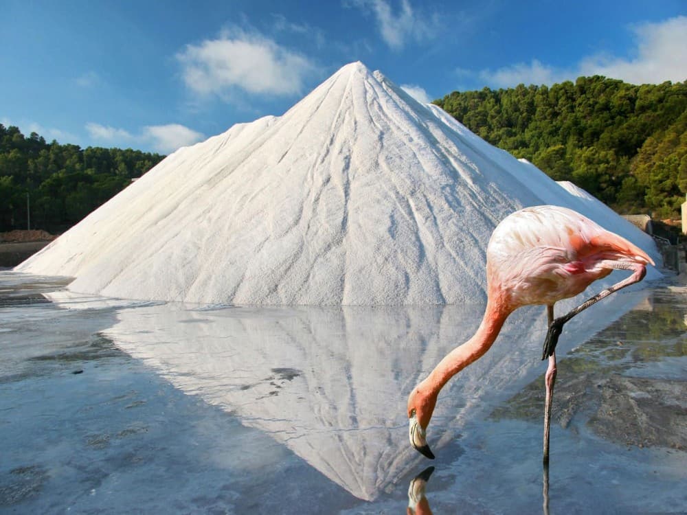 Ses Selines Natural Park (Parque Natural de Ses Salines)
