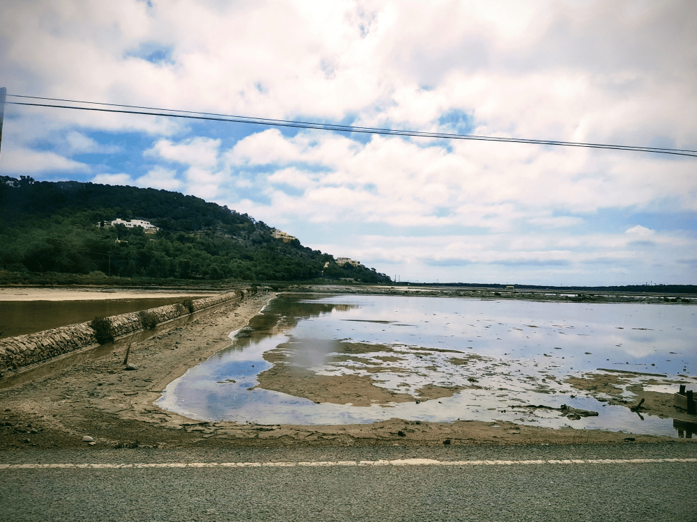Ibiza: Ses Selines Natural Park (Parque Natural de Ses Salines) | ®ExcursionMania