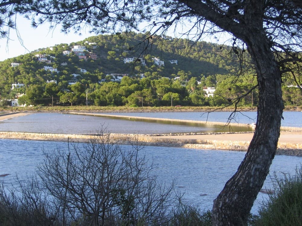 Ses Selines Natural Park (Parque Natural de Ses Salines)