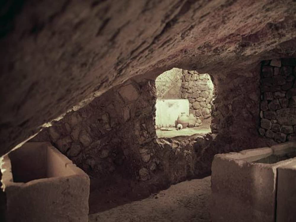 Necropolis of Puig des Molins (Necròpolis del Puig des Molins) 