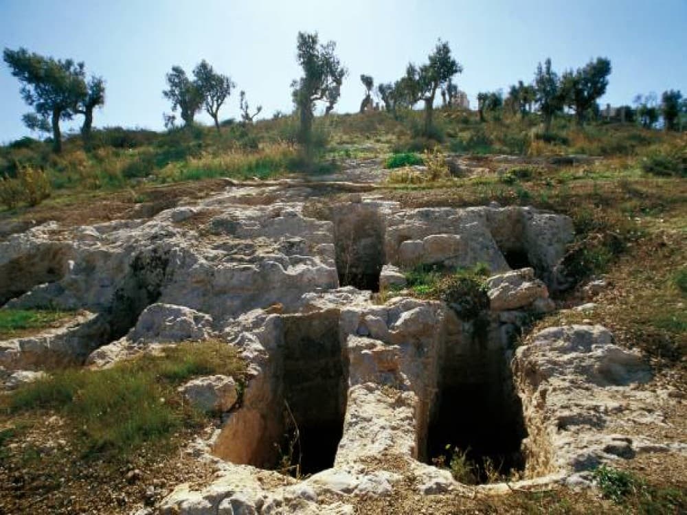 Necropolis of Puig des Molins (Necròpolis del Puig des Molins) 