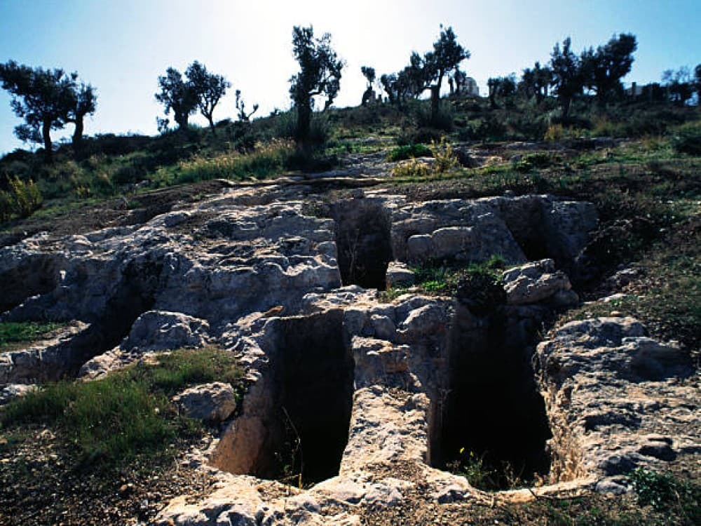 Necropolis of Puig des Molins (Necròpolis del Puig des Molins) 