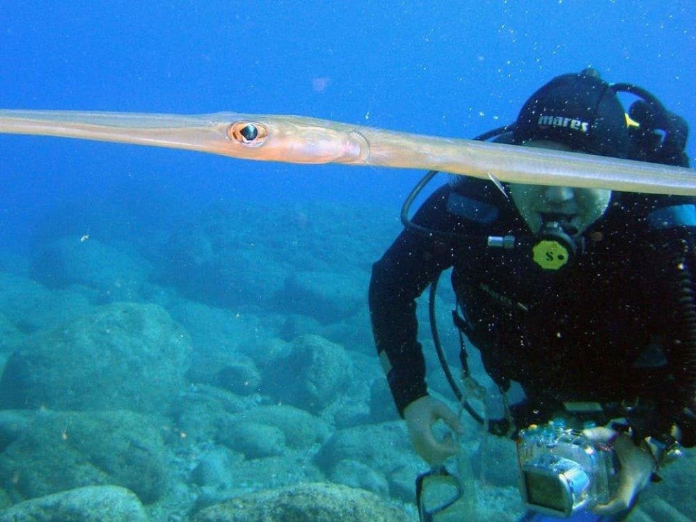 Olympos Diving Center