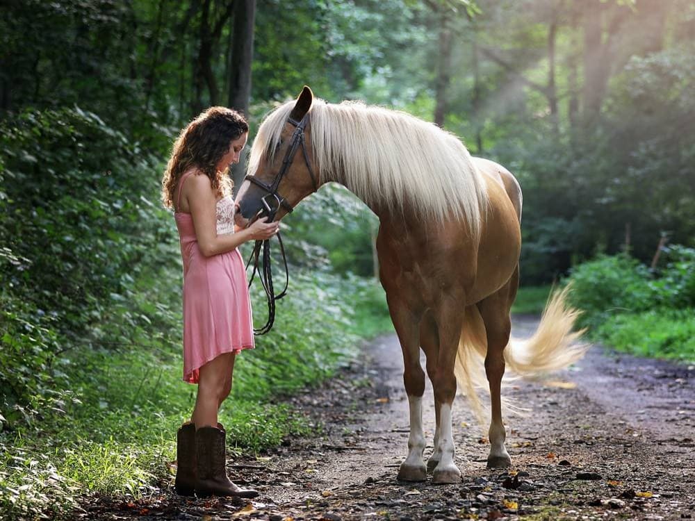 Icmeler Horse Riding