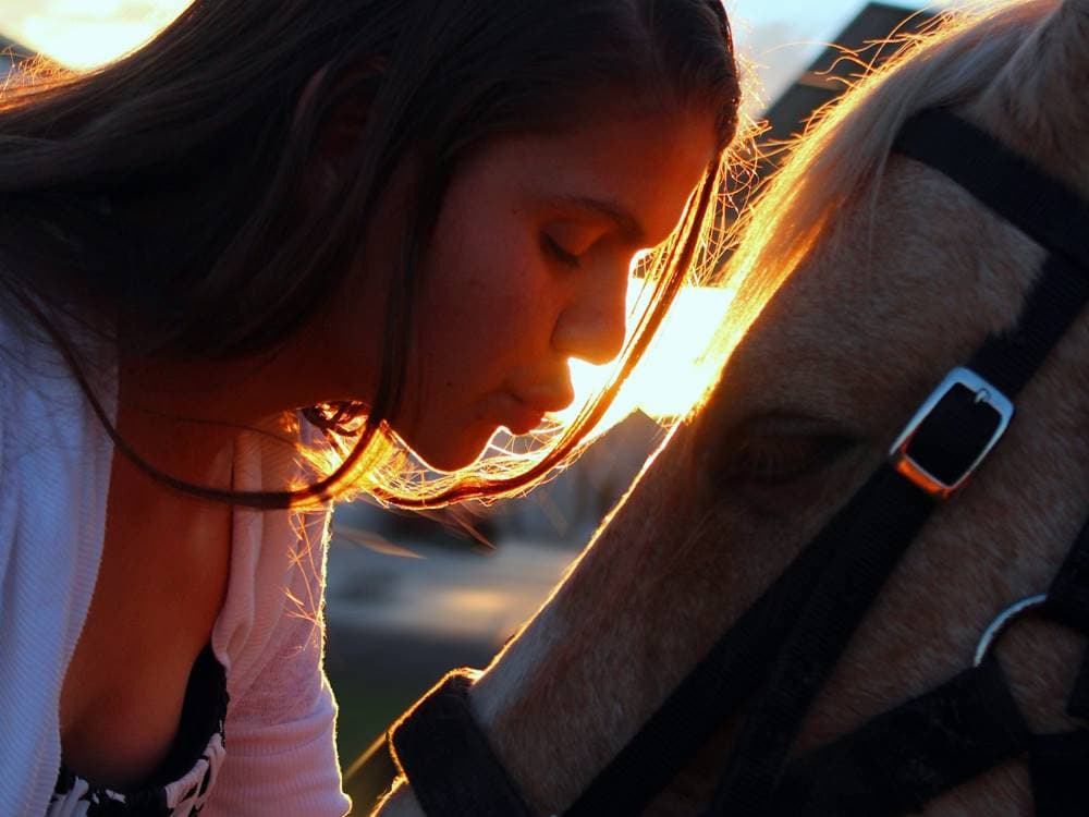 Icmeler: Icmeler Horse Riding | ®ExcursionMania