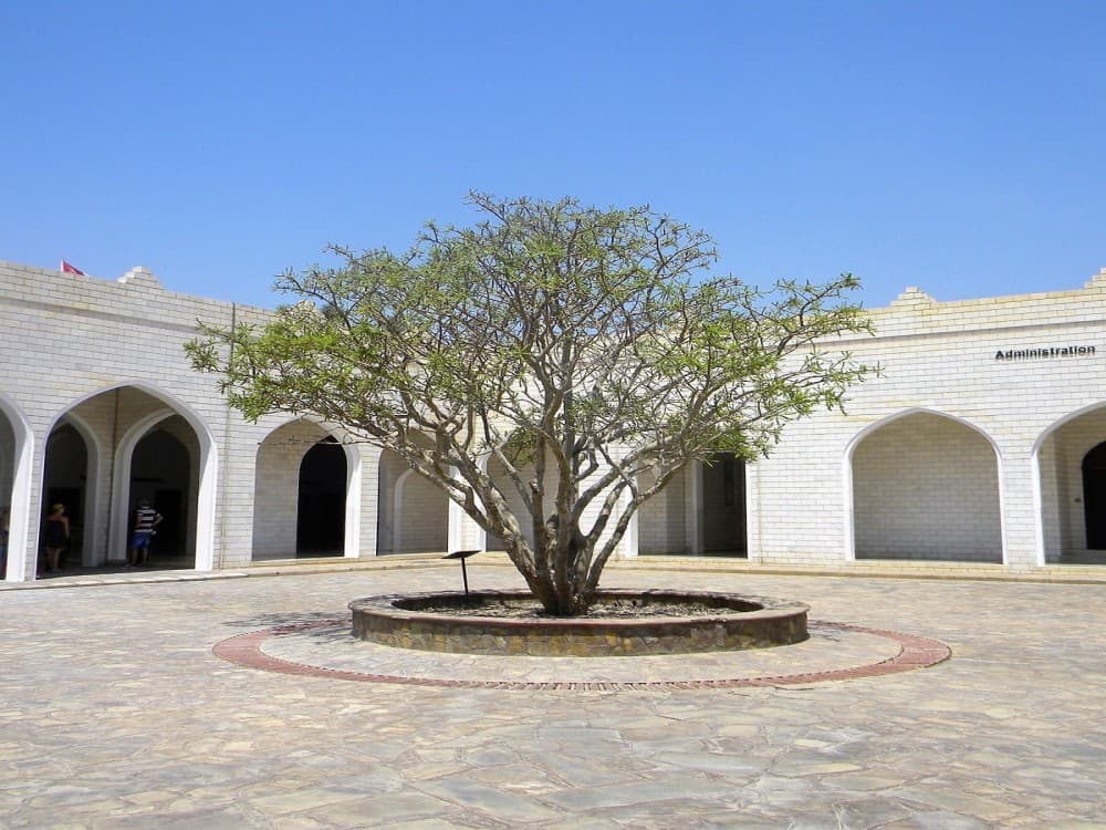 Museum of the Frankincense Land