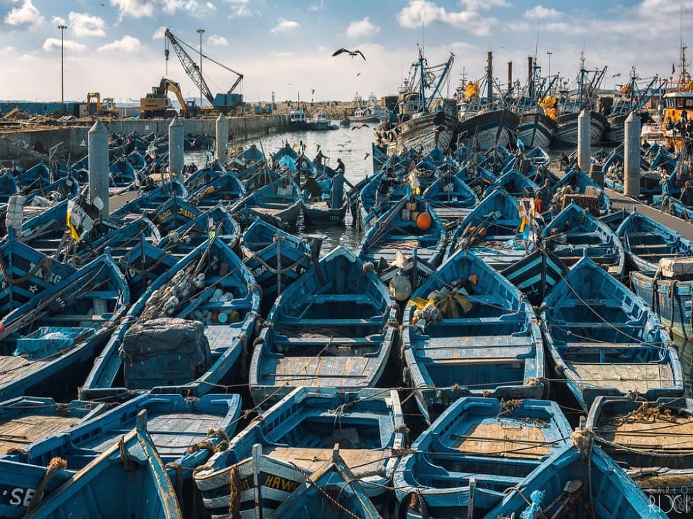 Fishing Port
