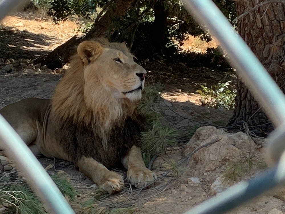 Al Ma'wa for Nature and Wildlife