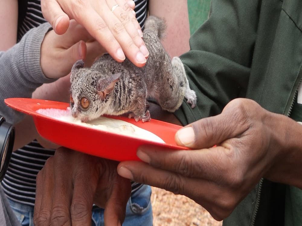 CARACAL Biodiversity Center