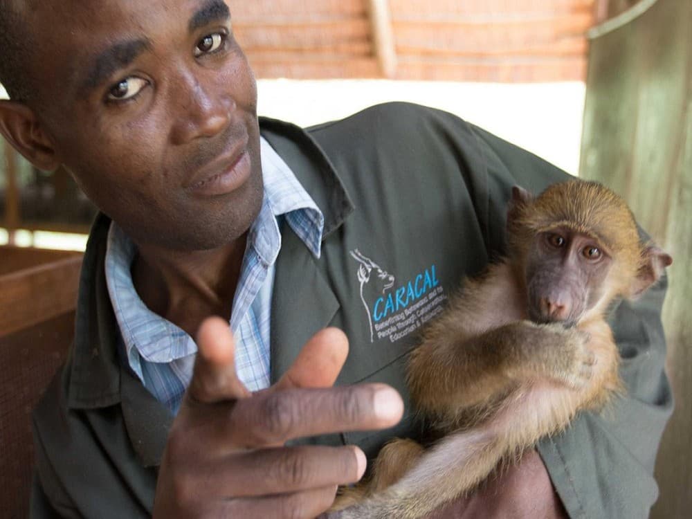 CARACAL Biodiversity Center