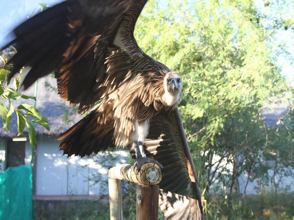 CARACAL Biodiversity Center