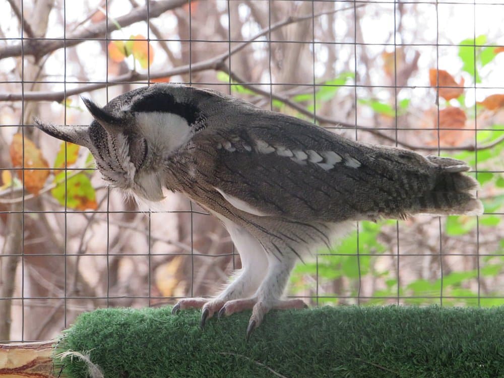 CARACAL Biodiversity Center