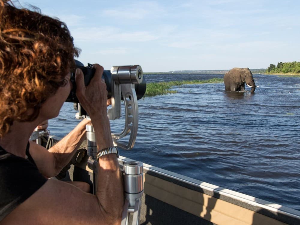 Pangolin Photo Safaris