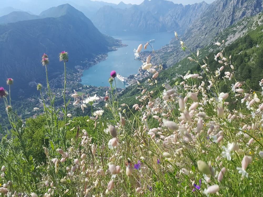 Viewing Point at the Road Kotor-Lovcen