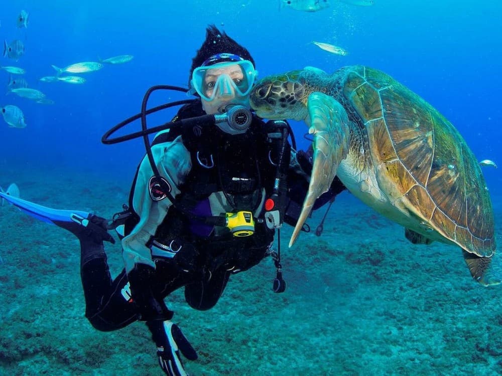 Maio Island: AAA Maio Diving | ®ExcursionMania