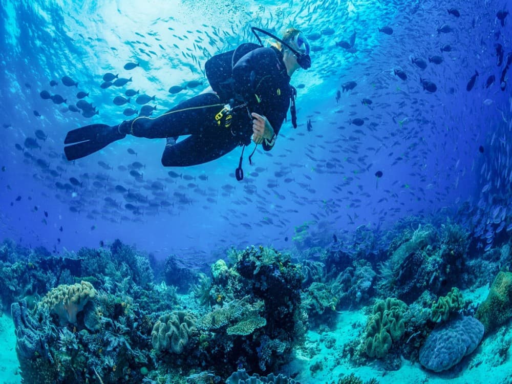 Santo Antao Scuba Diving