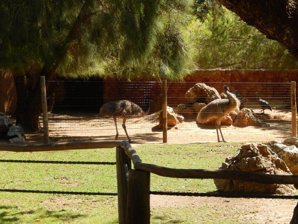 Parque Zoológico De Lagos
