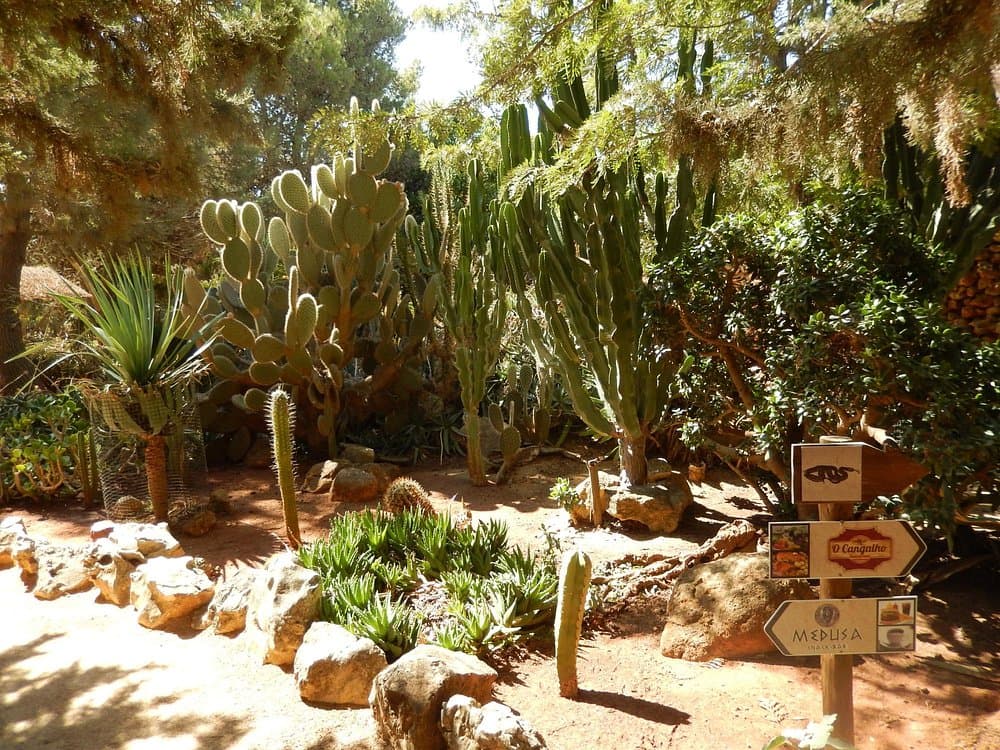 Parque Zoológico De Lagos