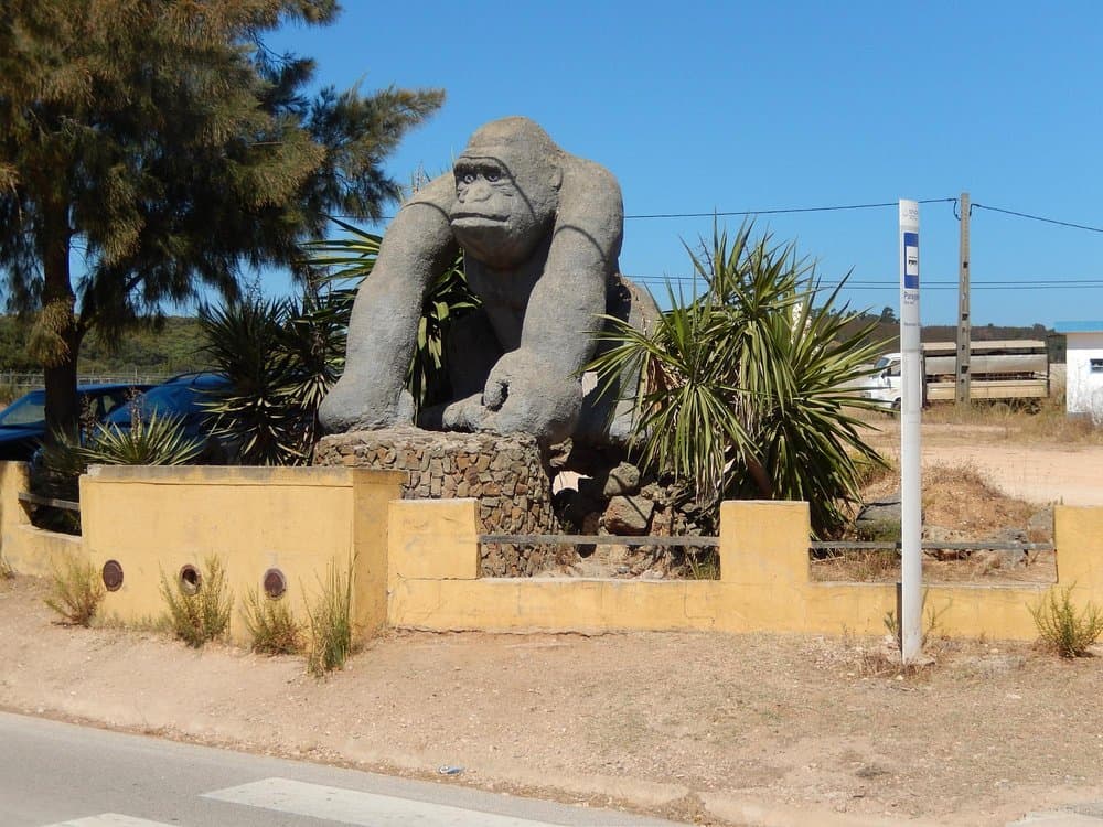 Parque Zoológico De Lagos