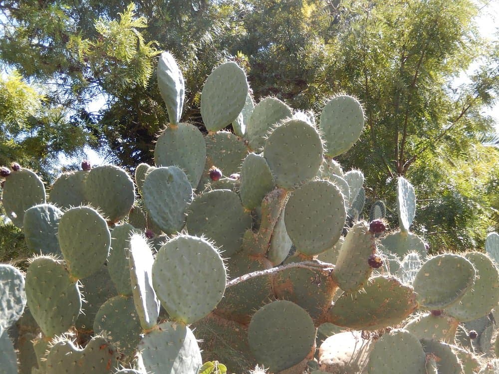 Parque Zoológico De Lagos