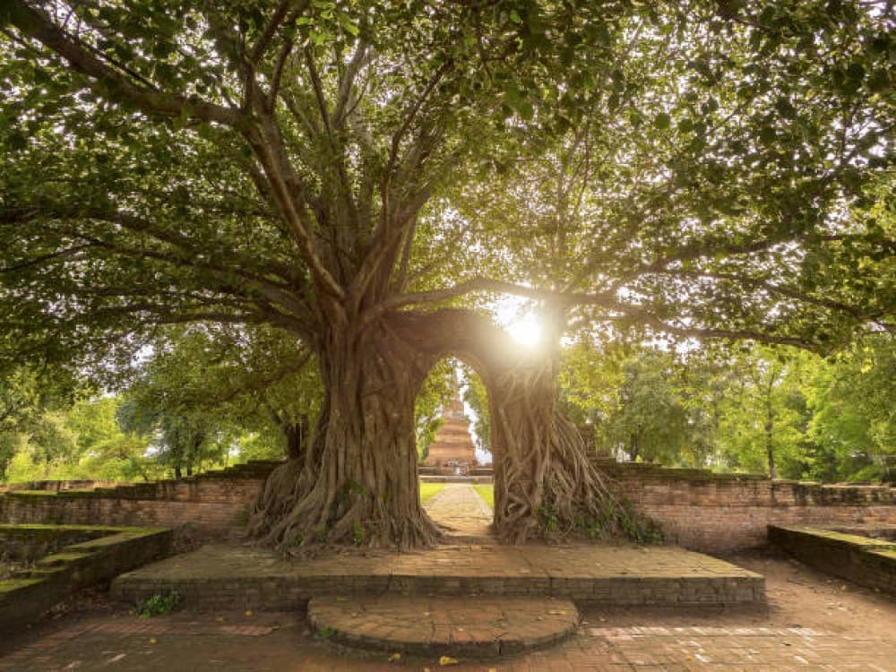 Historic City of Ayutthaya