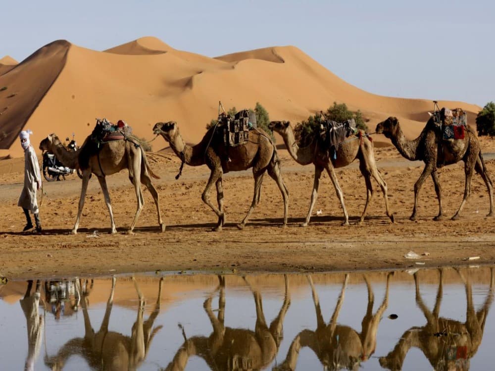 The Lake of Merzouga