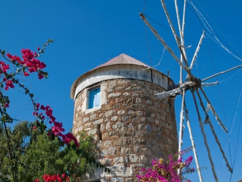  Windmills Tours 